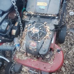 Time master lawn mower