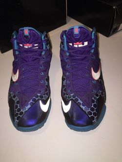 Lebron 11(summit lake hornets) size 9.5 men