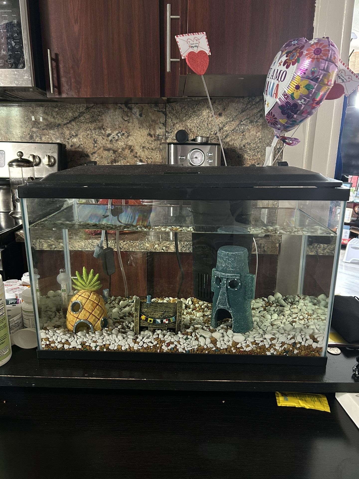 Pecera /Fish tank!! ready to used, almost new!