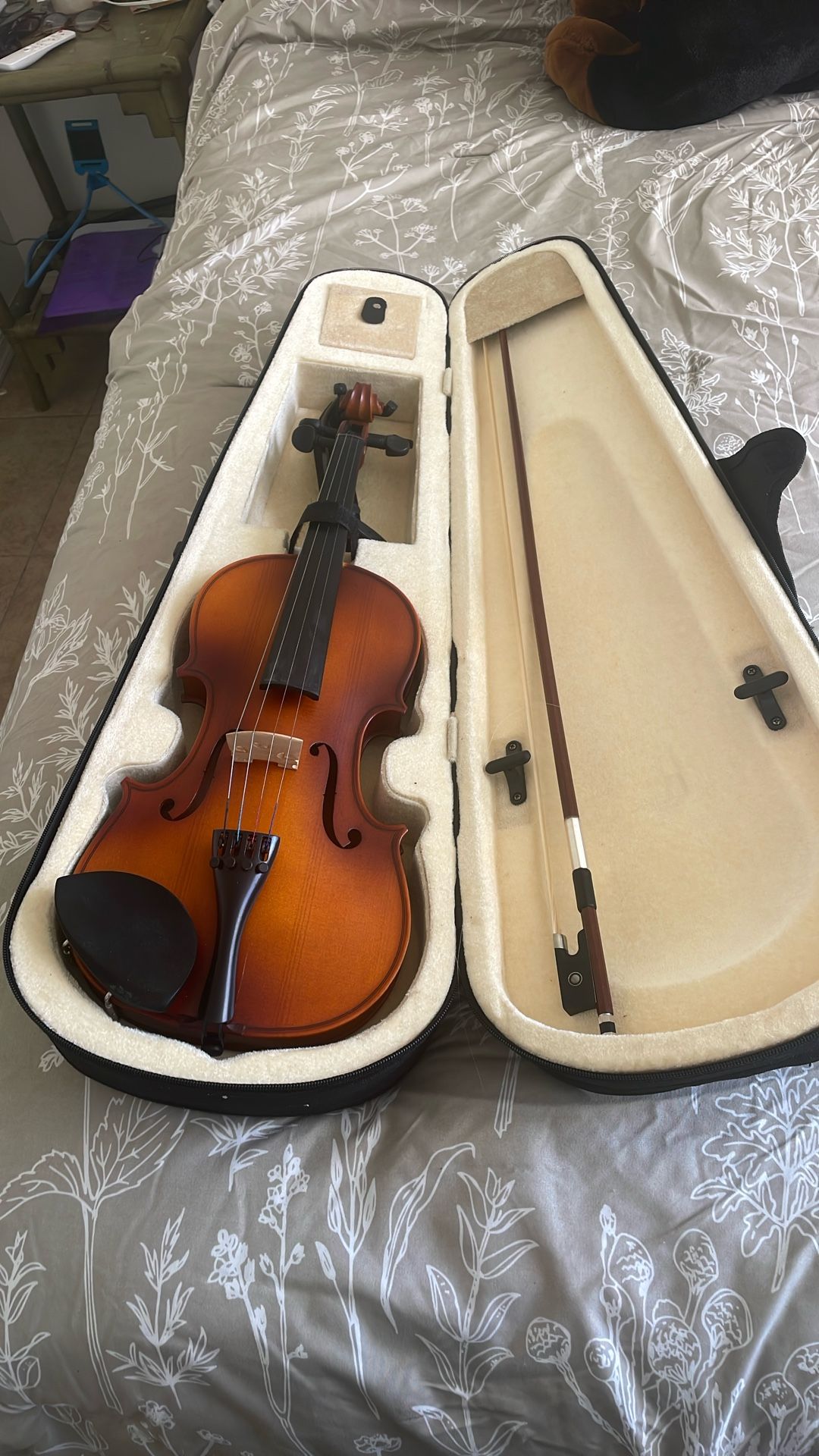 Violin 