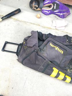 Wilson catchers bag
