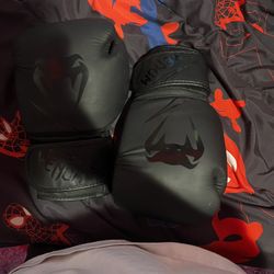 Venom Boxing Gloves 14oz