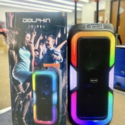 Dual 10" Rechargeable Bluetooth Portable Speaker 