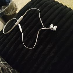 Beat Headphones 