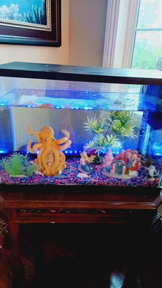 20 Gallons Aquarium Fish Tank