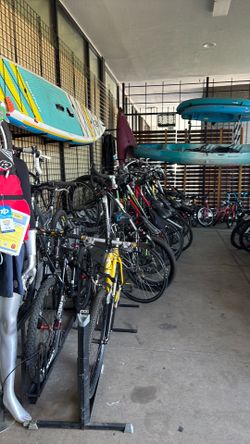 BIKES BIKES BIKES!!