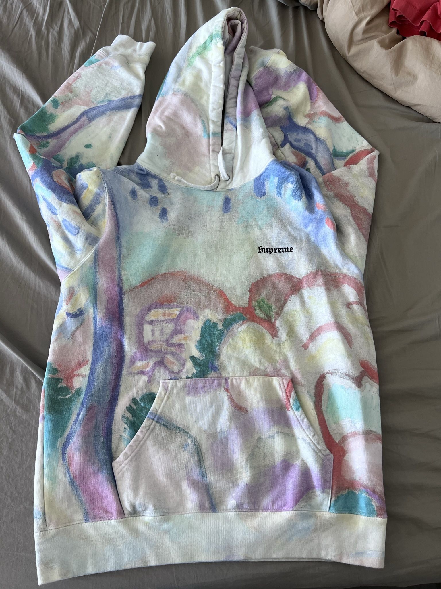 Supreme Landscape Hooded Sweatshirt Multicolor