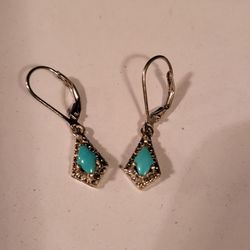 Sleeping Beauty Turquoise Earrings 