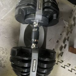 A Pair Of 552 Bowflex Weights And Golds Gym Workout Bench for Sale in Quinton VA OfferUp