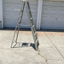 6’ Aluminum Latter 