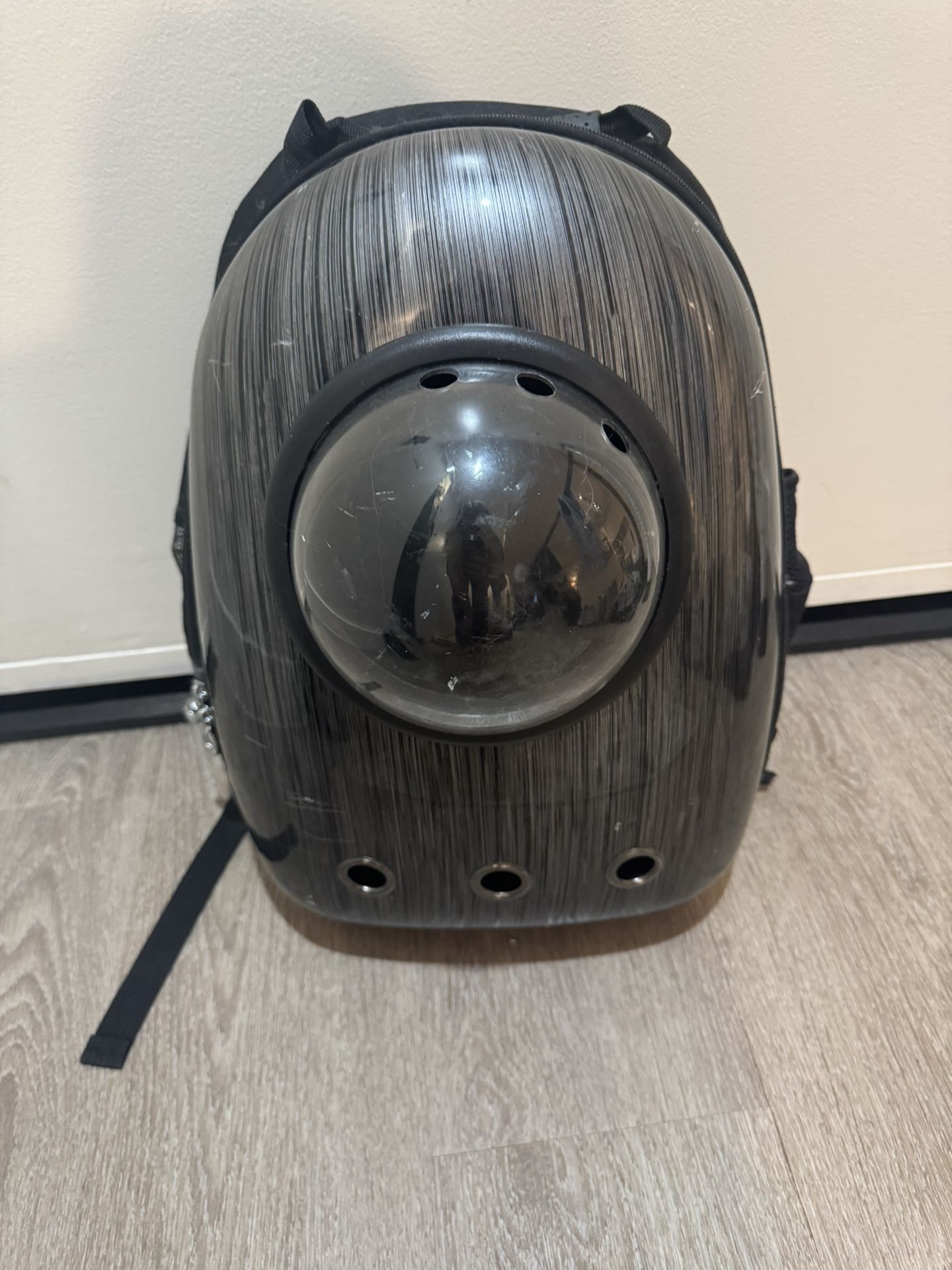 Cat Backpack