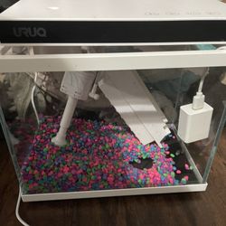 Fish Tank 2.4 Gallon
