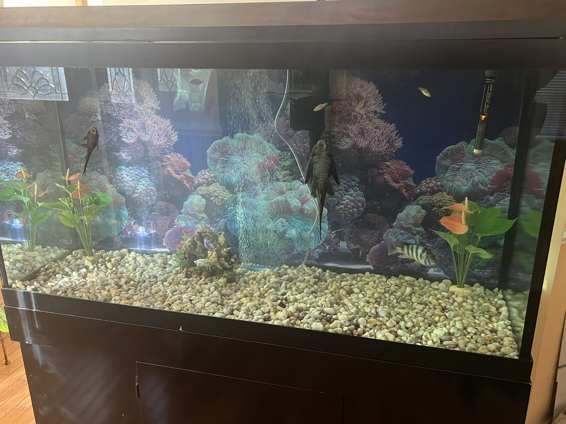 90 Gallon Fish Tank 