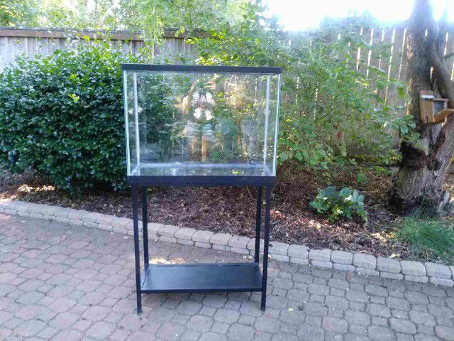 30x12x24 Inch Used Fish Tank With Black Metal Stand