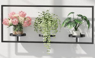 Plant Frame