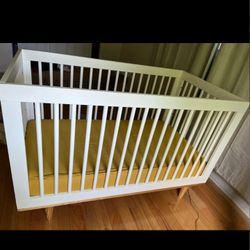 Baby Cribb