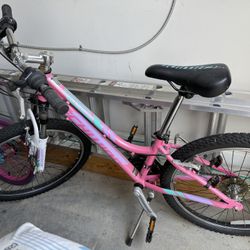 Schwinn 24 “Bike 
