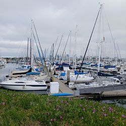 1985 Bayliner Explorer