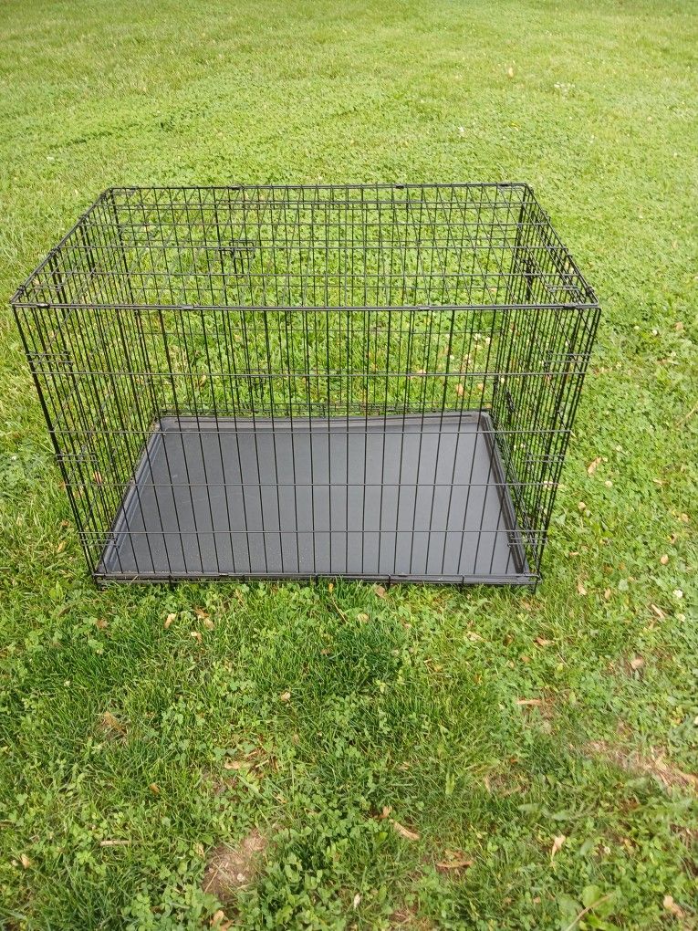 Dog Cage