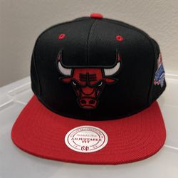 Mitchell and Ness Chicago Bulls NBA SnapBack Hat - new era 47 brand Jordan