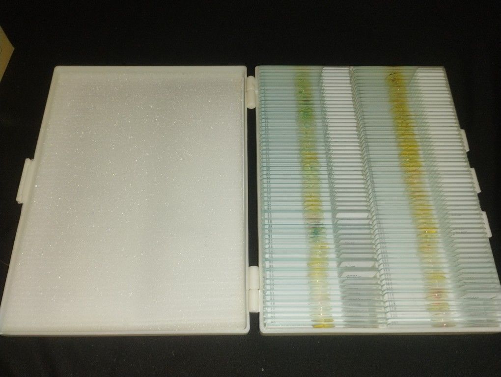 120pcs Biological Specimen Slides