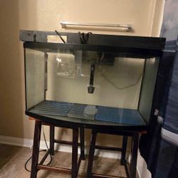 40 Gallon Bow Front Aquarium Complete Setup 