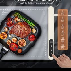 Dish Warming tray
