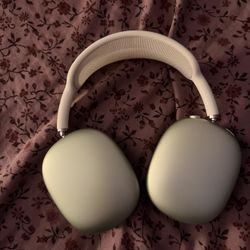 Apple Max Headphones : Light Green
