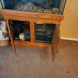 Fish Tank set up