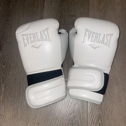 Everlast Boxing Gloves 12 Oz