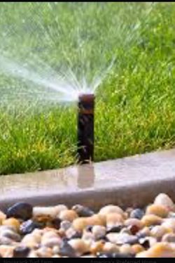 Sprinkler