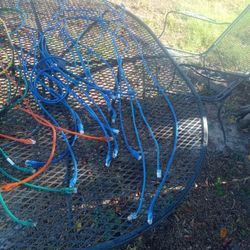 Ethernet Cables