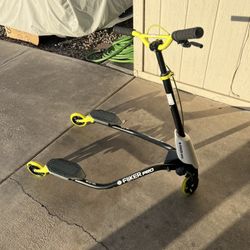 Flicker Pro Scooter 
