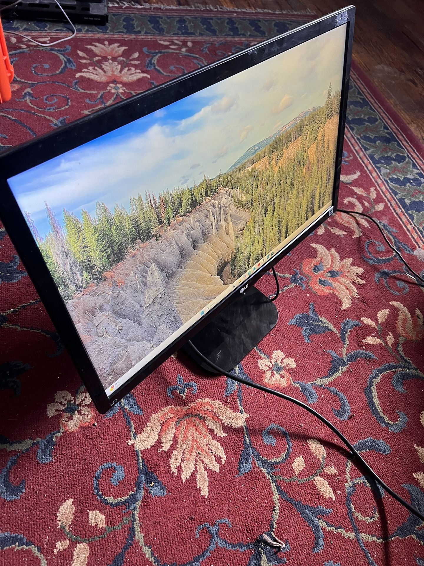 LG Computer Monitor