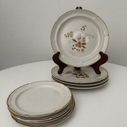 8 Vintage Boho MCM Jungalow Farmhouse Stoneware Dinner Plates 