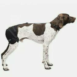 Brand New Caldera Hot & Cold Hip Pet Therapy Wrap w/ Therapy Gel Medium PET203