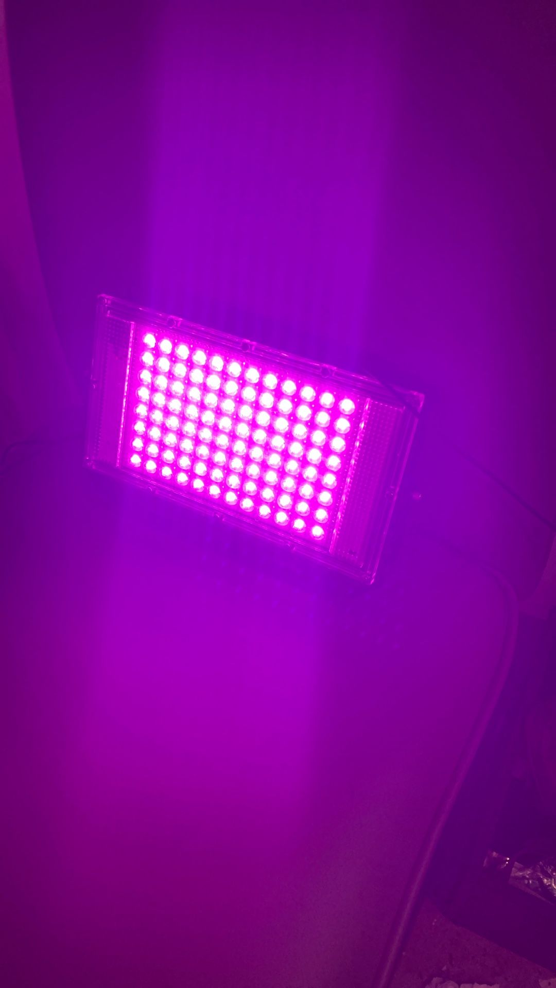 LED lights