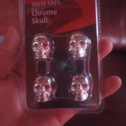 Chrome Skull