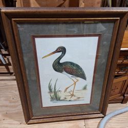 HUGE FRAMED ART PRINT BY MEYER - WATER BIRD