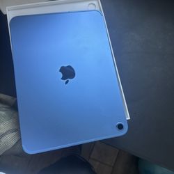 iPad Nueva 