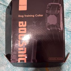 Dog Training Collar