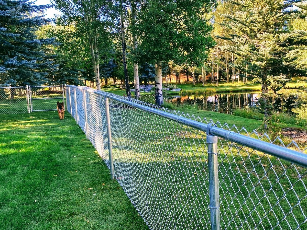 fence