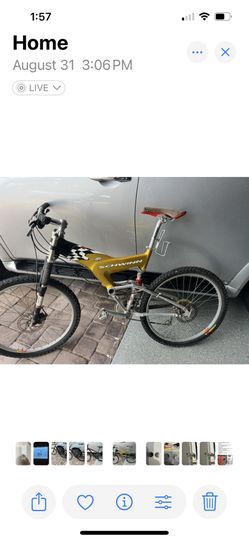 Mountain Bike