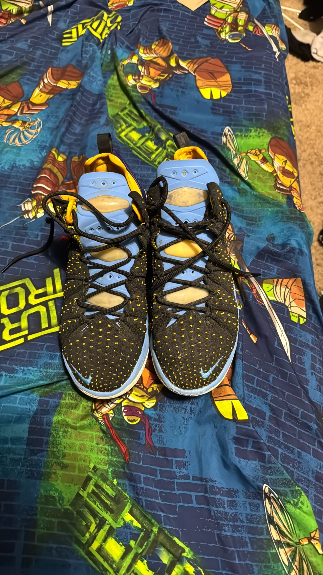 LeBron Basketball Shoes