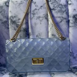 Jelly crossbody 🅿️urse/Gold chain 