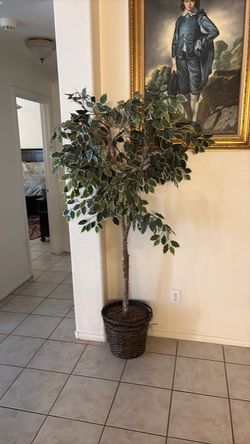 Large Artificial Ficus Tree in Basket
