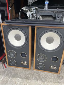 Acoustic Monitors PSM 1250 Hi-power Stereo Speakers