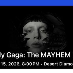 Lady Gaga Tickets - 02/15/25 Show