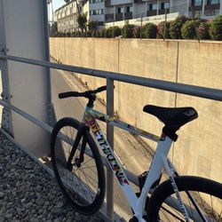 THRONE fixie (check Desc)