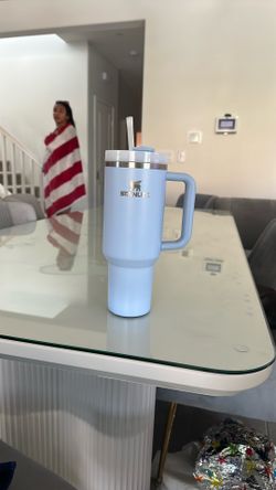 Baby Blue Stanley Cup